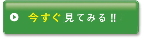 薬用ニキビあとケア【ベルブラン・ベルクイーン】販売サイトへ